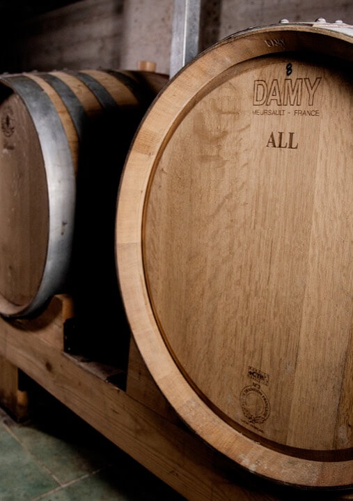 Kakoulidis | Greece | Winery | Vineyards