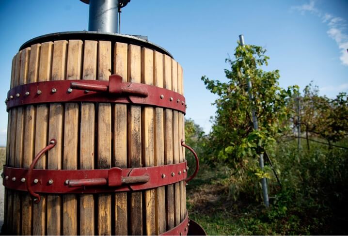 Kakoulidis | Greece | Winery | Vineyards